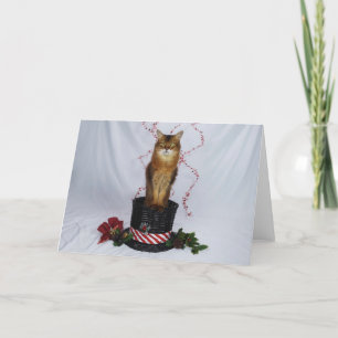 Somaliska Kat på julen Hat Basket Hälsning Tack Kort