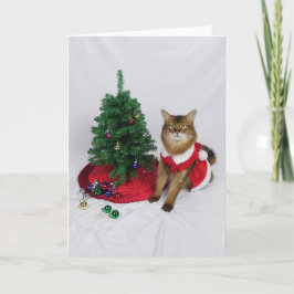 Somaliska Kat Santa Träd dekorerar julkortet Tack Kort