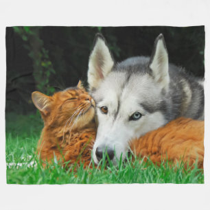 Somaliska katt och Siberian husky söta vänner hudd Fleecefilt