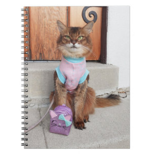 Somaliskt katt Back to school med liten ryggsäck Anteckningsbok