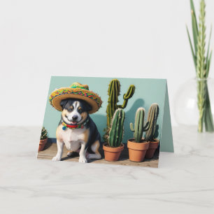 sombrero perro helgkort