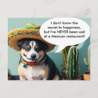 sombrero perro-minne