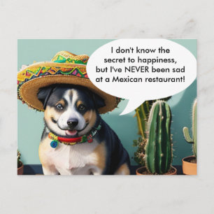 sombrero perro-minne vykort