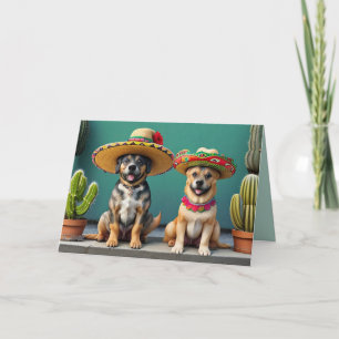 sombreros perros helgkort