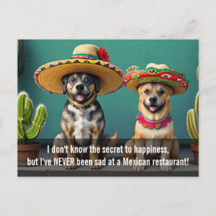 sombreros perros memi vykort