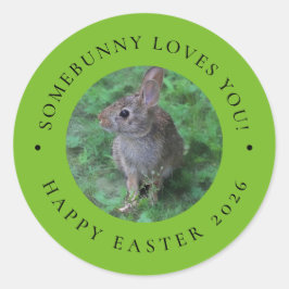 SomeBunny Loves You Valentine's Day Easter Sticker Runt Klistermärke