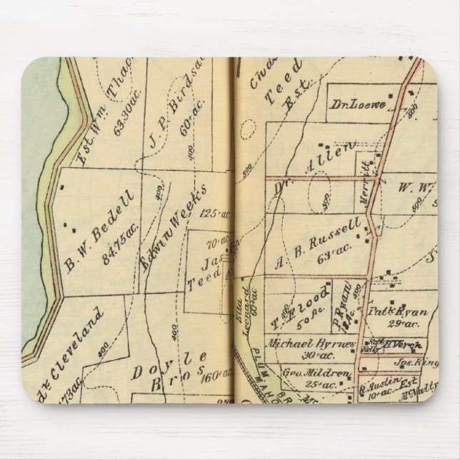 Somers, New York Musmatta (Framsidan)