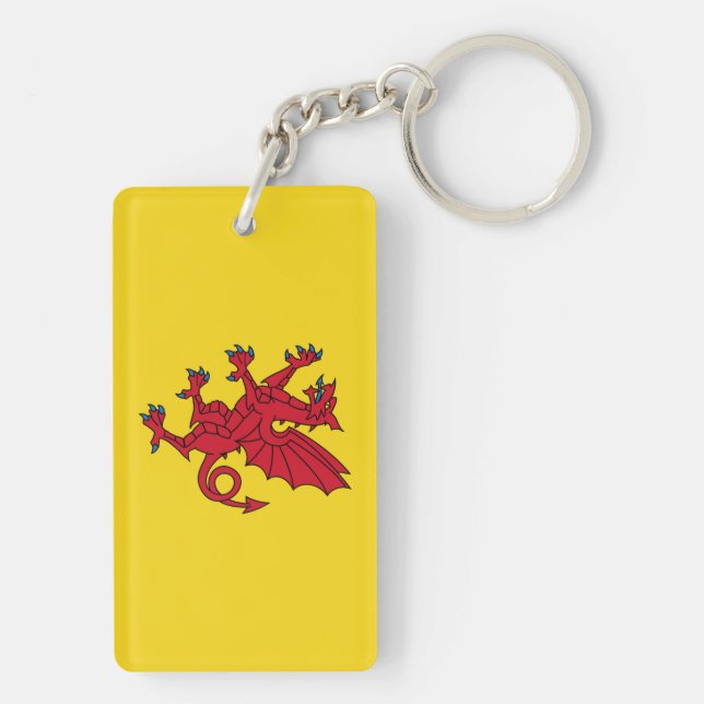 Somerset Flagga England dragon symbol (Baksidan)
