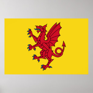 Somerset Flagga England dragon symbol Poster