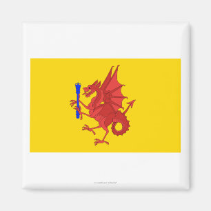 Somerset flagga magnet