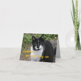 Sometimes, you have to try cute. tack kort