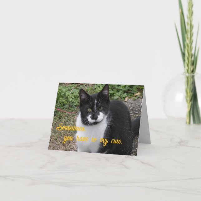 Sometimes, you have to try cute. tack kort (Framsida)