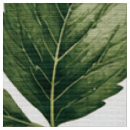 Sömlös jordgubbsbotanisk mönster vintage stil tyg