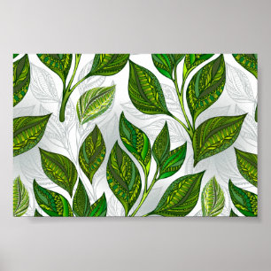 Sömlös Mönster med Grönt Tea Löv Poster