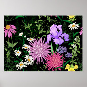 Sömlös sommar mönster. Vild blomkamomile, h Poster