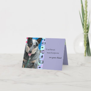 Sömmande australisk Hund Birthday Hälsning Kort