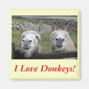 Sömmande Donkeys! Magnet