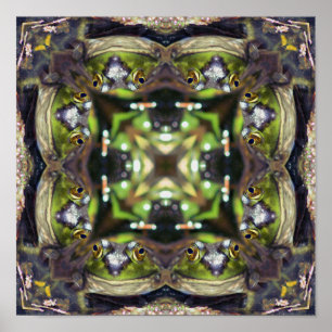 Sömmande Frog Ansikte Nature Abstrakt Kaleidoscope Poster