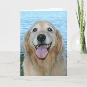 Sömmande Golden Retriever har en Lycklig-dag Kort
