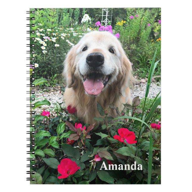 Sömmande Golden Retriever-Hund bland rödblommor Anteckningsbok (Framsidan)
