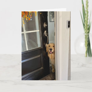 Sömmande Golden Retriever Hund Peeking Out Door Hi Kort