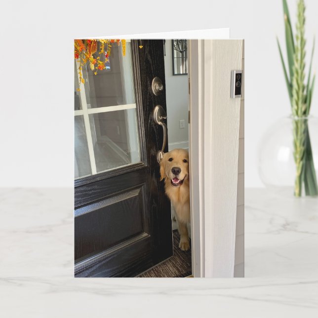 Sömmande Golden Retriever Hund Peeking Out Door Hi Kort (Framsida)