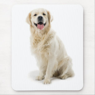 Sömmande Golden Retriever Puppy Mousepad Musmatta