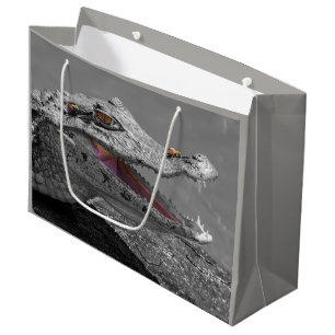 Sömmande krokodil i Tortuguero - Costa Rica