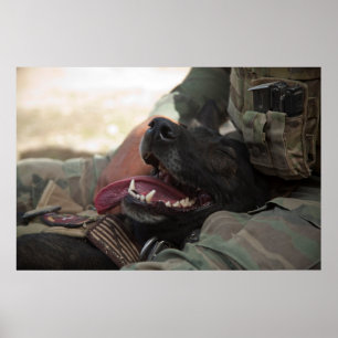 Sömmande tyska Shepherd-Hund Poster