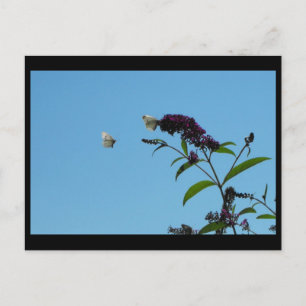 ~ Sommar 20 ~ Vykort