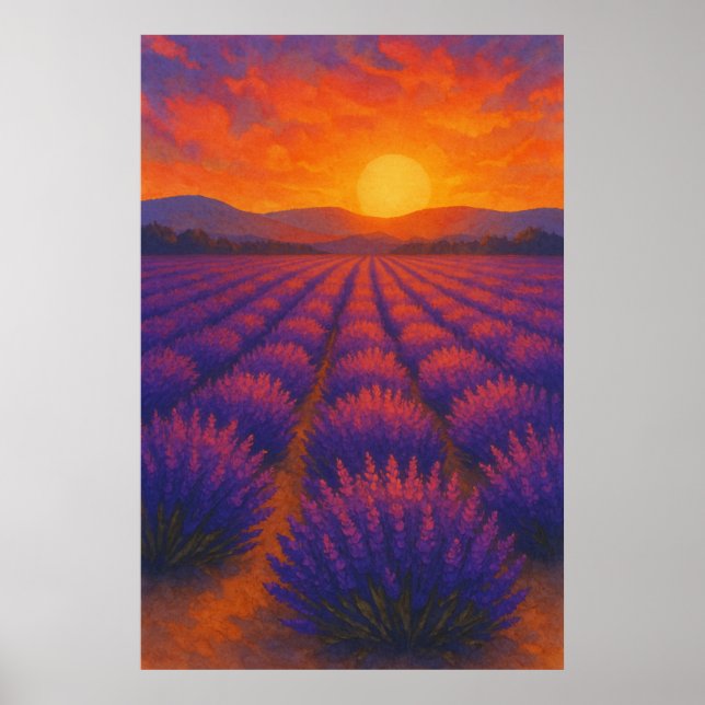 Sommar 3, Solnedgång över lavender, Säsong Skriv u Poster (Framsidan)