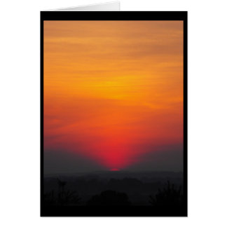 Sommar~ 6 hälsningskort