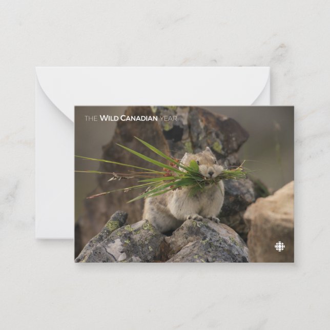 Sommar - Amerikanska pica Anteckningskort (Framsida)