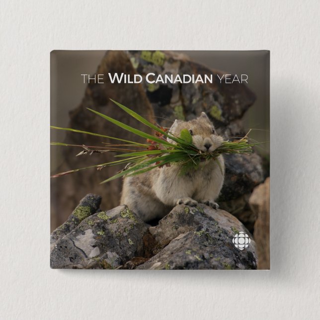 Sommar - Amerikanska pica Knapp (Framsida)