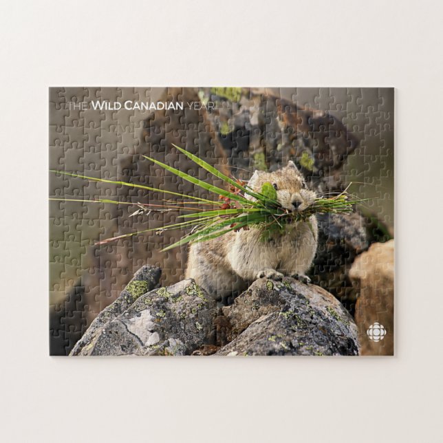 Sommar - Amerikanska pica Pussel (Horisontell)