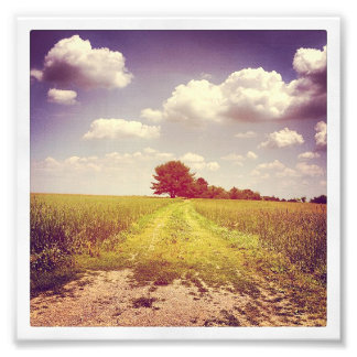 Sommar av väg fototryck