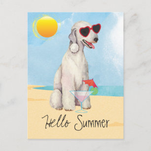 Sommar Bedlington Terrier vykort
