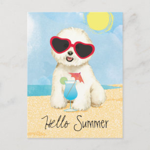 Sommar Bichon Frise Vykort