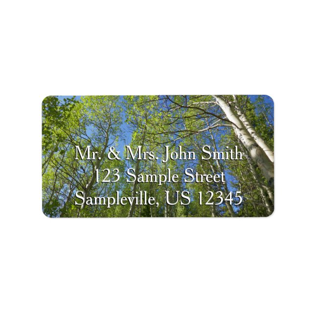 Sommar Birch Träd vid Rocky Mountain Adressetikett (Framsidan)