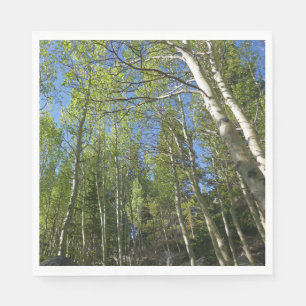 Sommar Björkar vid Rocky Mountain Pappersservett