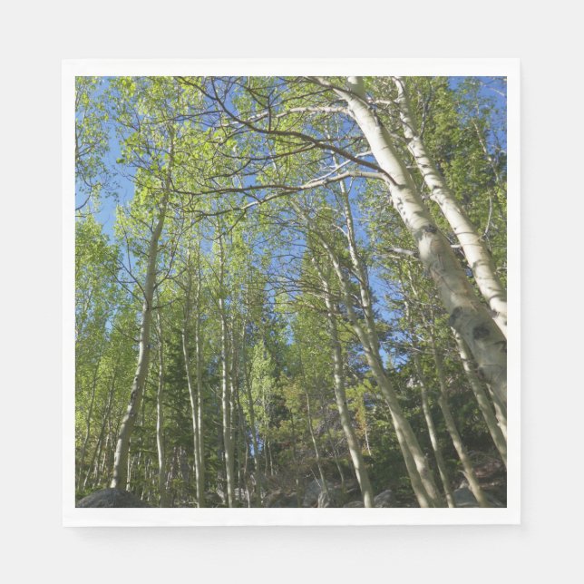 Sommar Björkar vid Rocky Mountain Pappersservett (Framsidan)