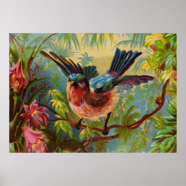 Sommar Bluebird Large Poster (Framsidan)