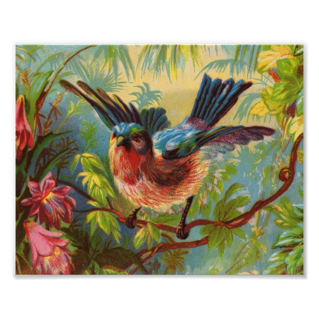 Sommar Bluebird Photo Print Fototryck (Framsidan)