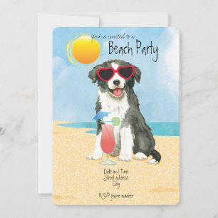 Sommar Border Collie Strandfest Inbjudan