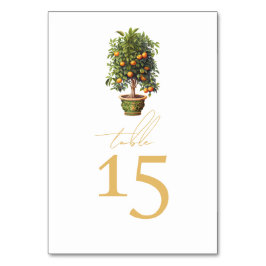 Sommar Bröllop Orange Fruit Bordsnummer