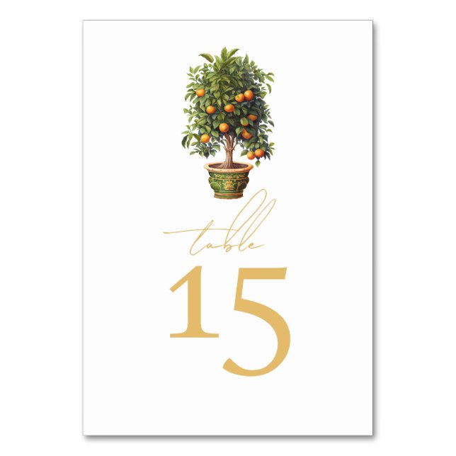 Sommar Bröllop Orange Fruit Bordsnummer (Framsidan)