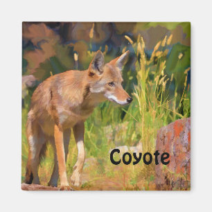 Sommar Coyote Wildlife-målning Magnet