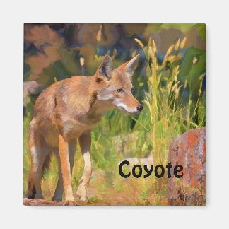 Sommar Coyote Wildlife-målning Magnet