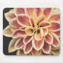 Sommar Dahlia Blomma (Blommig Konst) Musmatta