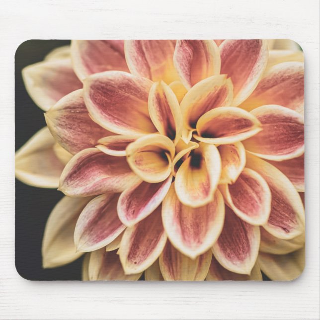 Sommar Dahlia Blomma (Blommig Konst) Musmatta (Framsidan)